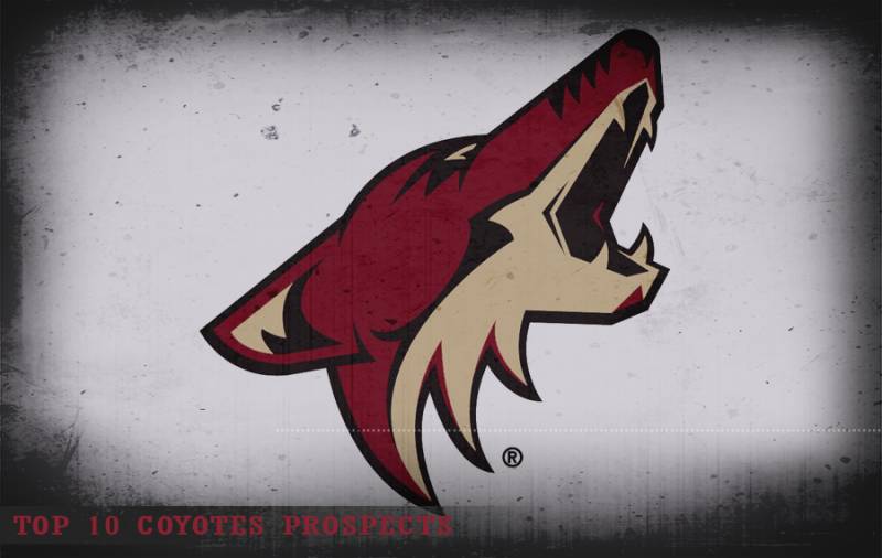 Top 10 Arizona Coyotes prospects