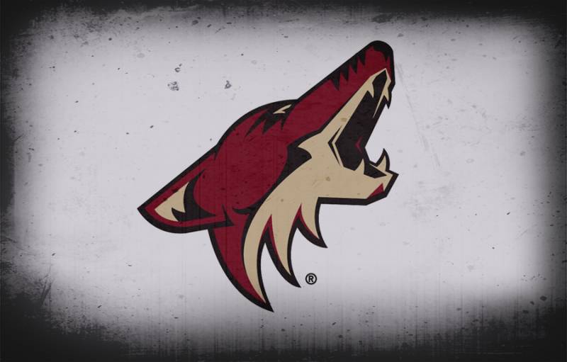 Arizona Coyotes