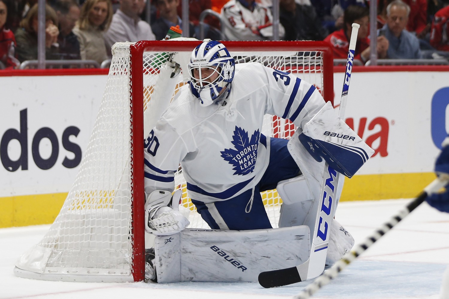 The Toronto Maple Leafs need to find a capable, cheap backup goaltender.