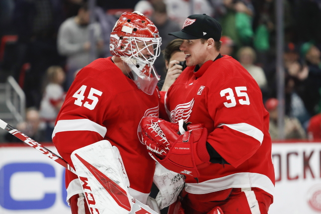 Looking at some potential NHL free agent goaltending options for the Detroit Red Wings.