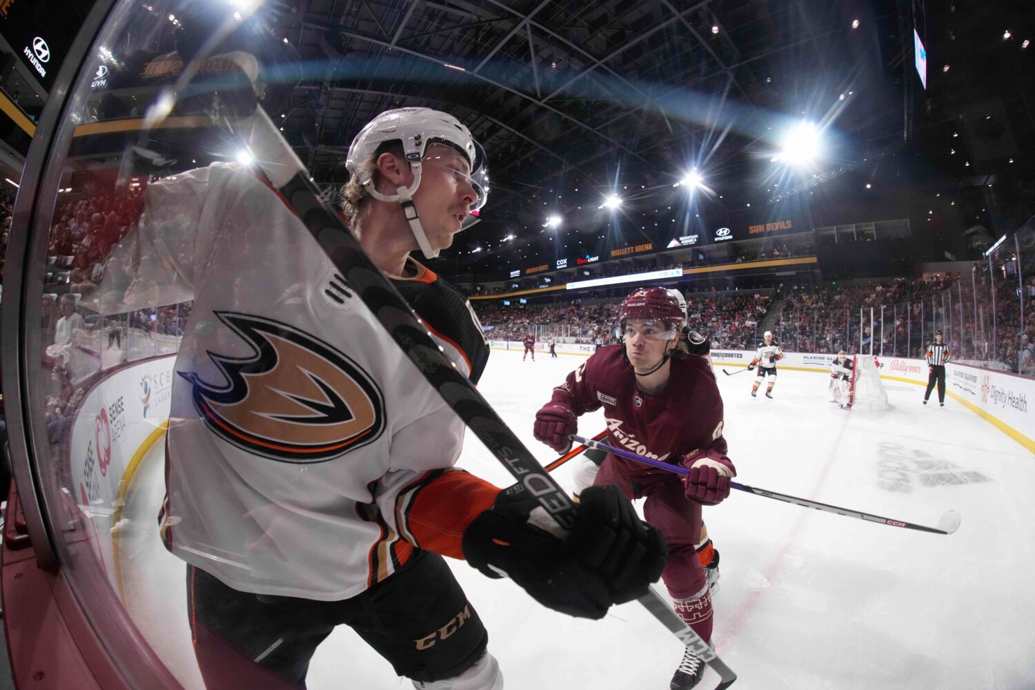 The Coyotes re-sign Matias Maccelli and Ivan Prosvetov. The Wild re-sign Brandon Duhaime. The Ducks re-sign Lukas Dostal.