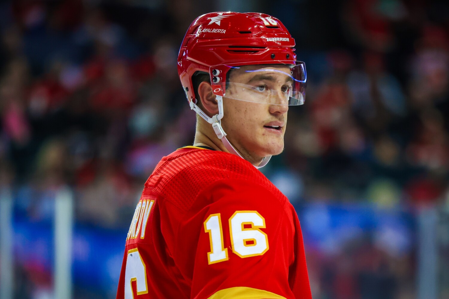 Many think the Vancouver Canucks did well in their trade with the Calgary Flames for defenseman Nikita Zadarov.